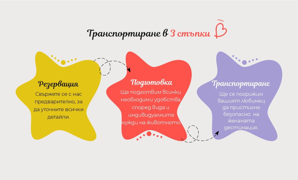 Средна снимка
